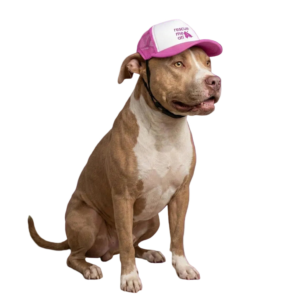 Dog Trucker Hat