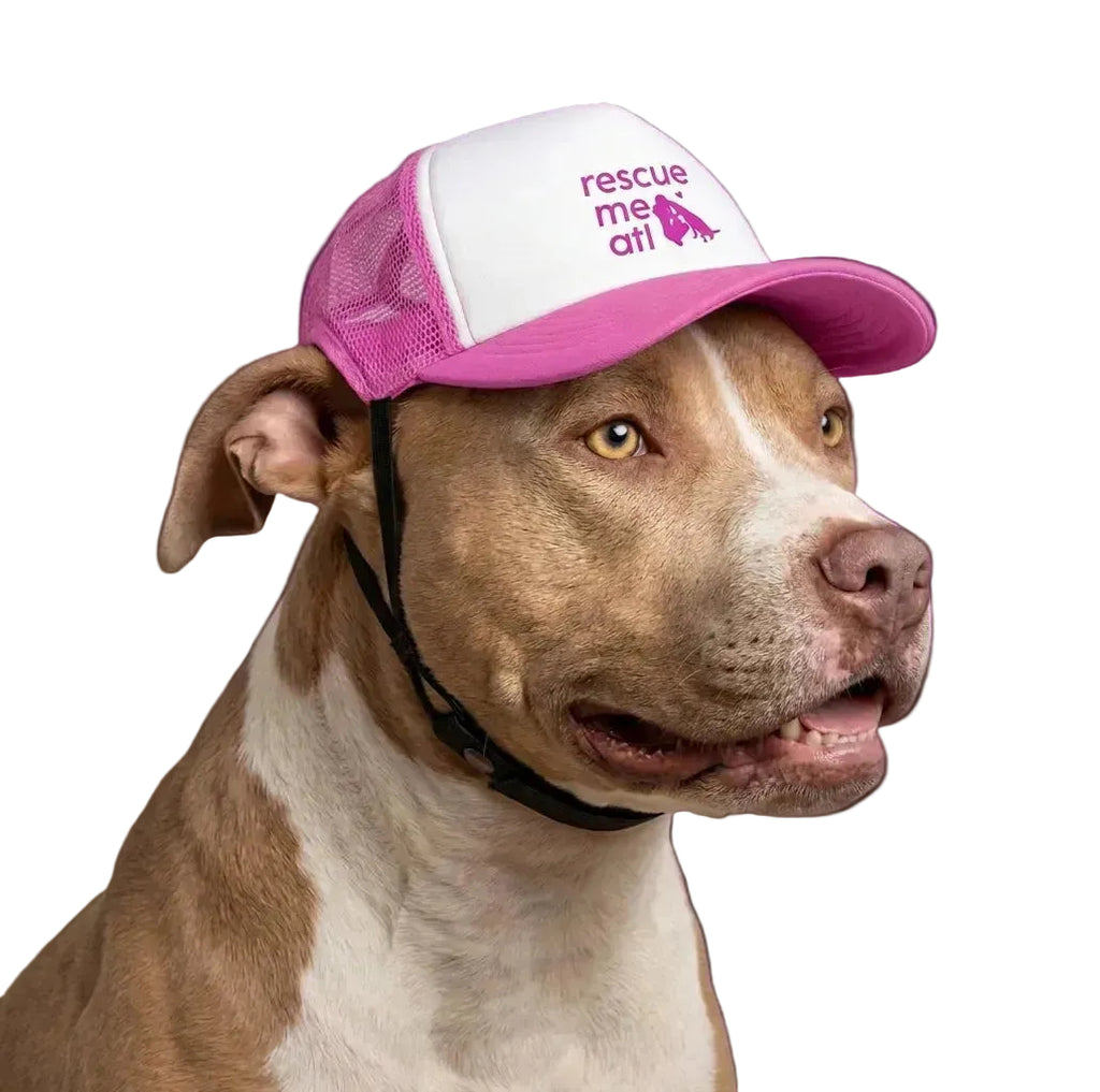Dog Trucker Hat