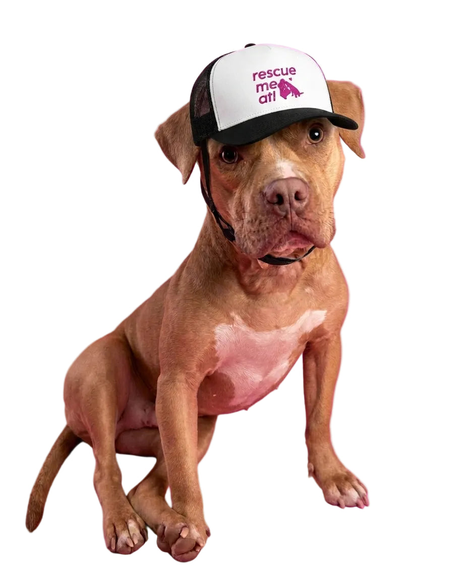 Dog Trucker Hat